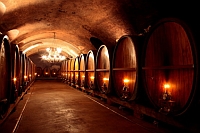 � PANORAMO - Fotolia.com