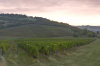 emi_villacorlo_06_200