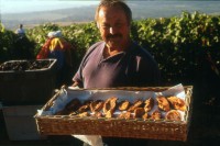 fra_geoffrey_pic_01_200