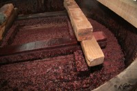 fra_geoffrey_pic_06_200