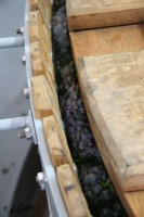 fra_geoffrey_pic_16_200