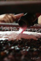 fra_geoffrey_pic_17_200