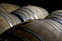 grappe_peroni_pic01_200