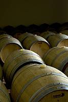 grappe_peroni_pic02_200