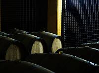 grappe_peroni_pic04_200