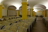 grappe_peroni_pic05_200