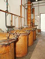 grappe_peroni_pic09_200