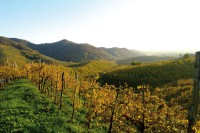 ven_pic_la_marca_01_200