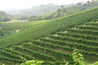 ven_pic_la_marca_03_200