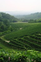 ven_pic_la_marca_05_200