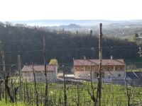 veneto_vedova_pic06200