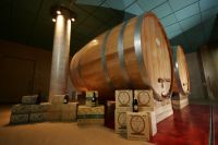 veneto_vedova_pic07200