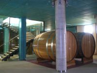 veneto_vedova_pic08200